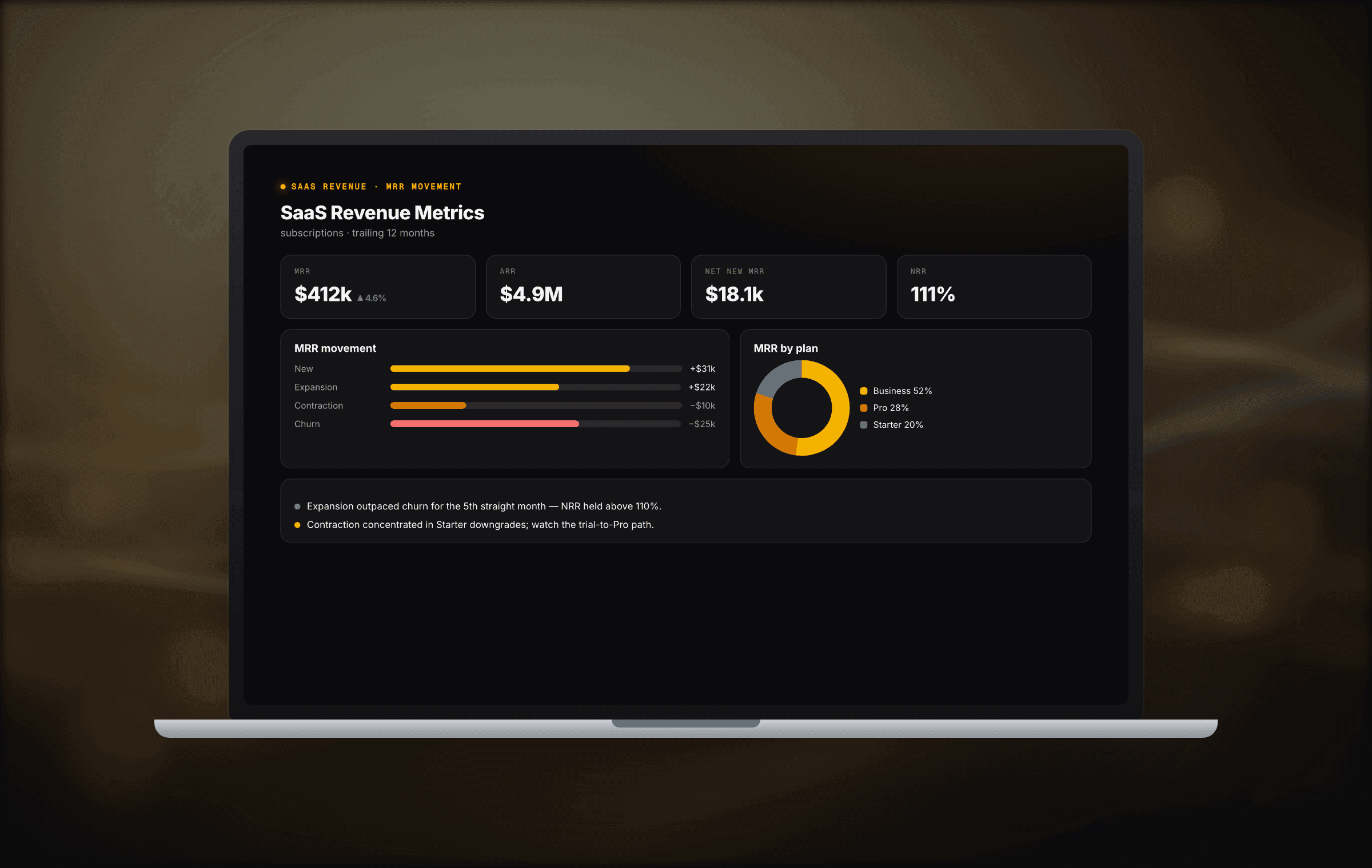 SaaS revenue metrics